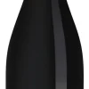 Maitre de Chai Chinon
